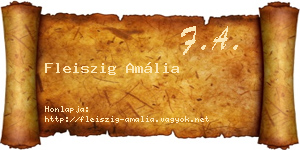 Fleiszig Amália névjegykártya